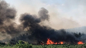 Komşu ilde orman yangını! Çanakkale'den ekipler de gitti