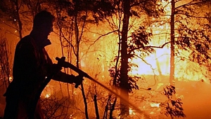 Orman Yangınlarına Karşı Gönüllü Seferberliği