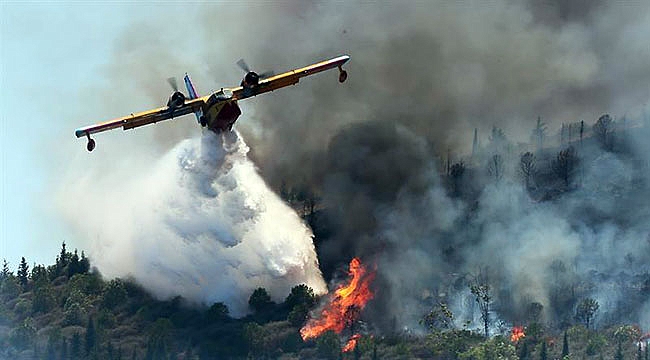 'Orman Yangınlarına İlk Müdahale 15 Dakikada Yapılıyor'